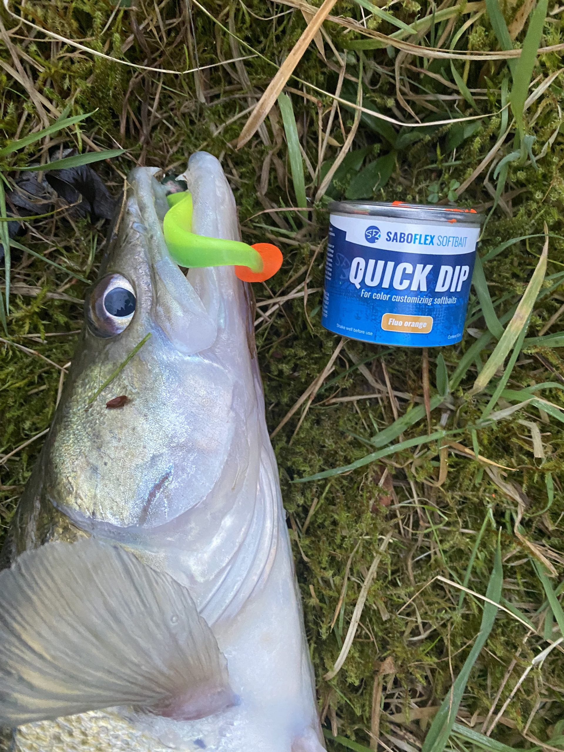 SaBoFlex Quick Dip 50 ml – Peinture pour leurres souples | 10 couleurs disponibles – Image 6